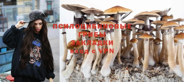 спайс Осташков