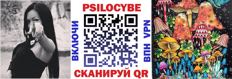 дарнет шоп  площадка формула  Псилоцибиновые грибы GOLDEN TEACHER  Сретенск 